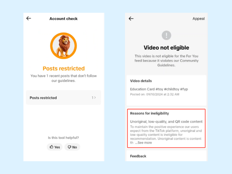 Posts restricted on Tiktok